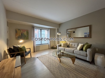 South End Luxury 1 Bed 1 Bath on Harrison Ave. in South End  Boston - $3,430