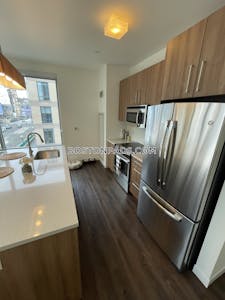 South End Amazing Luxurious 2 bed apartment in Harrison St Boston - $5,146