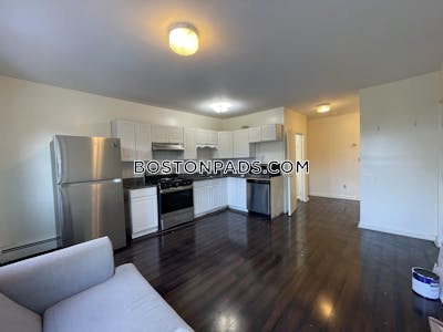 Mission Hill Open & Modern 3 Bed 1 Bath on Tremont St in Mission Hill Boston - $4,250