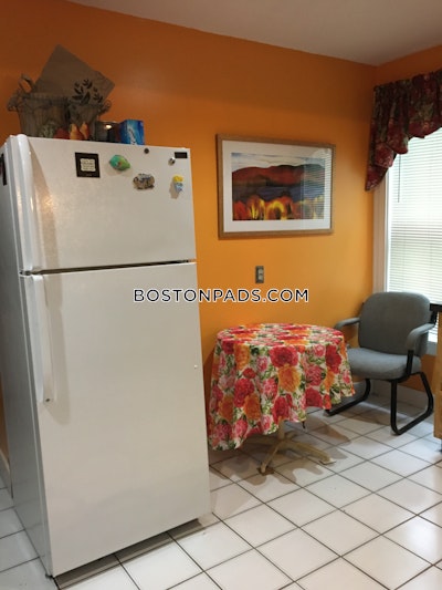 Allston/brighton Border Apartment for rent 1 Bedroom 1 Bath Boston - $5,950