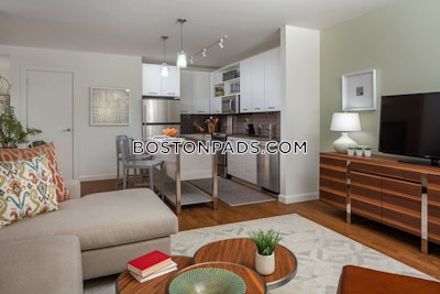 Downtown Apartment for rent 1 Bedroom 1 Bath Boston - $4,134