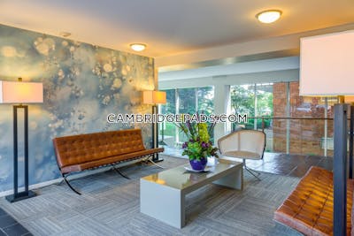 Cambridge Apartment for rent 2 Bedrooms 1 Bath  Kendall Square - $3,880
