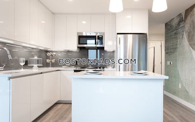 West End Apartment for rent 2 Bedrooms 2 Baths Boston - $12,518