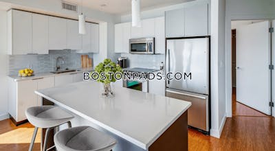 Downtown Studio  Luxury in BOSTON Boston - $3,527