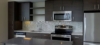 Dorchester Apartment for rent 2 Bedrooms 2 Baths Boston - $3,777 No Fee