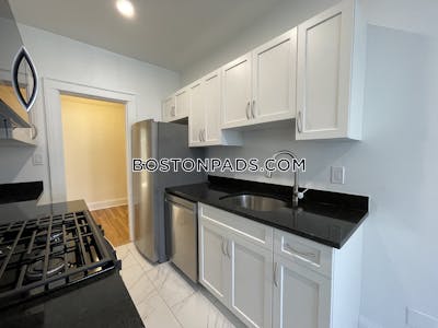 Brighton Apartment for rent 1 Bedroom 1 Bath Boston - $2,795 No Fee