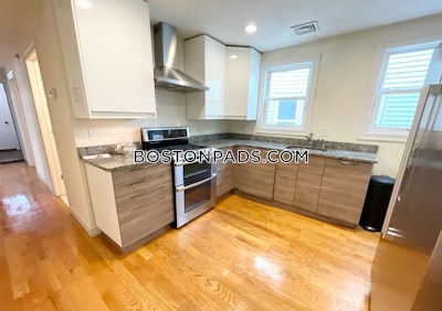 Dorchester Apartment for rent 3 Bedrooms 1 Bath Boston - $3,700