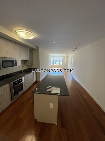 West End Apartment for rent 1 Bedroom 1 Bath Boston - $3,935