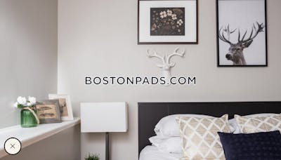 Cambridge Apartment for rent 5 Bedrooms 3 Baths  Harvard Square - $8,200