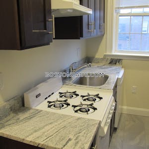 Allston Apartment for rent 2 Bedrooms 1 Bath Boston - $3,495